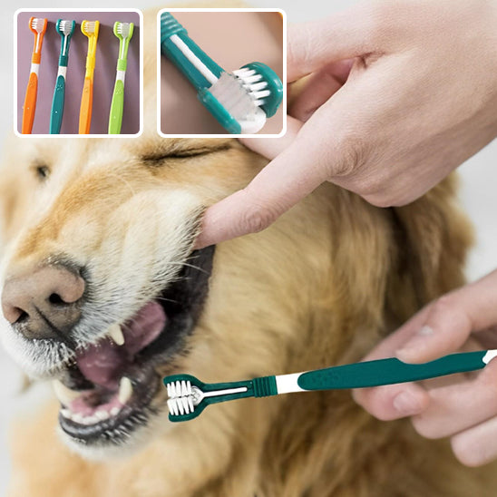 brosse a dent pour chien | TeethClean™