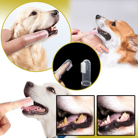 brosse a dent pour chien