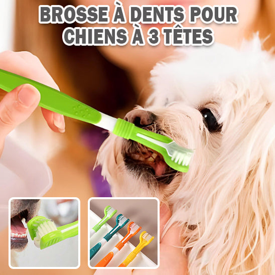 brosse a dent pour chien | TeethClean™