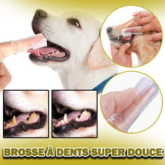 brosse a dent pour chien