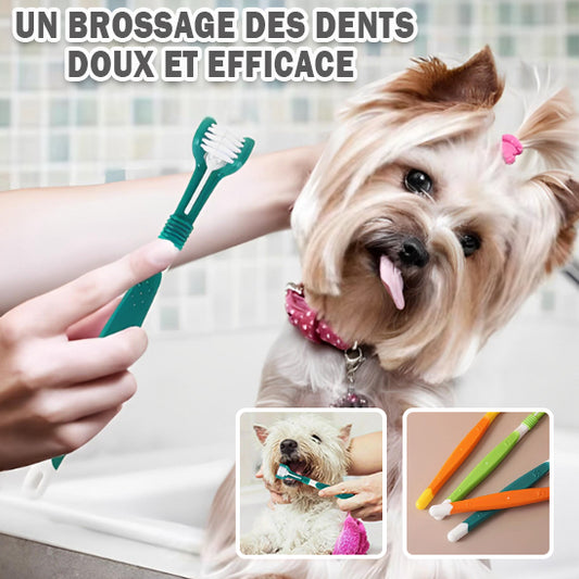 brosse a dent pour chien | TeethClean™