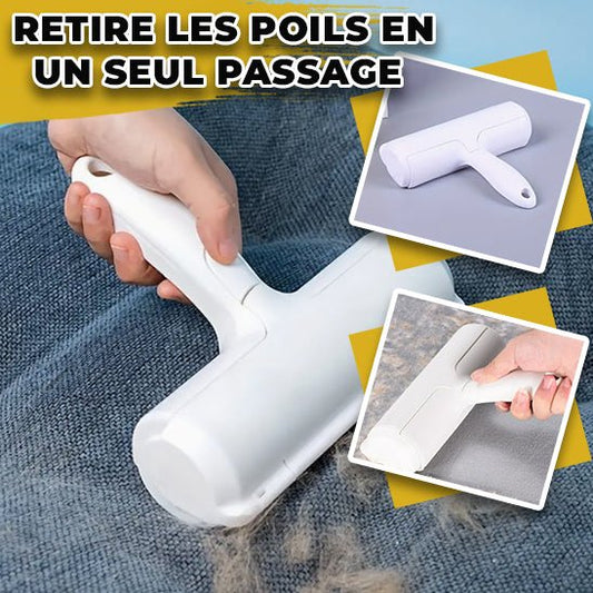 brosse anti poil