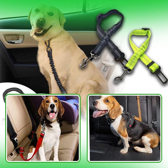 Ceinture de sécurité pour chien | SafeTravel™ - Happy Life Happy Dog