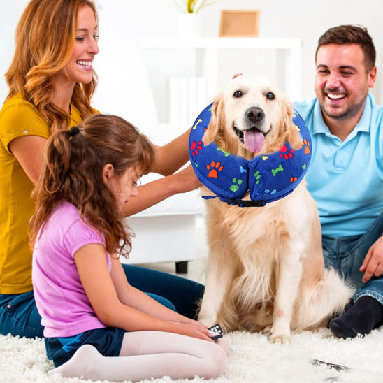 collerettes pour chiens | DonoCare™