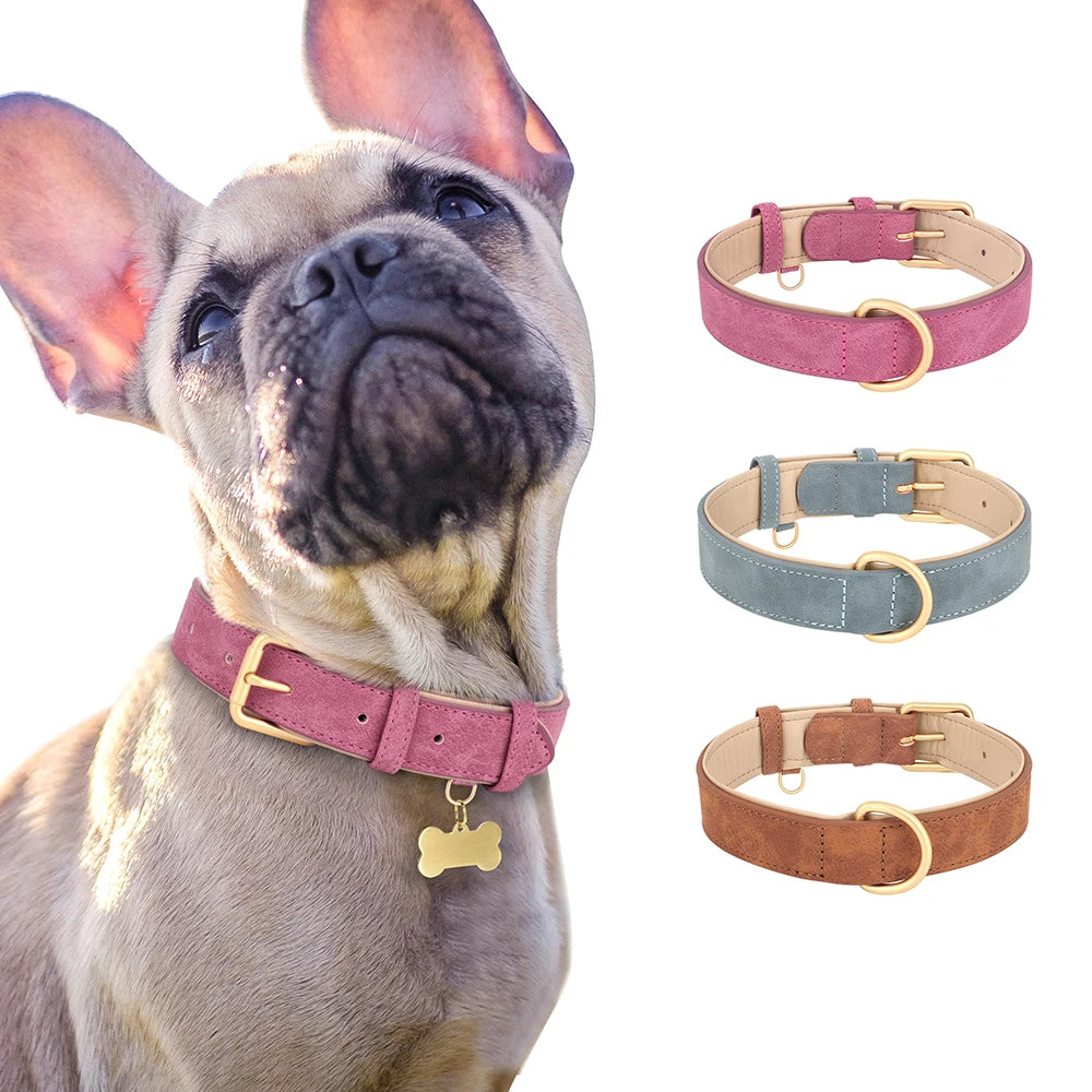 collier en cuir pour chien