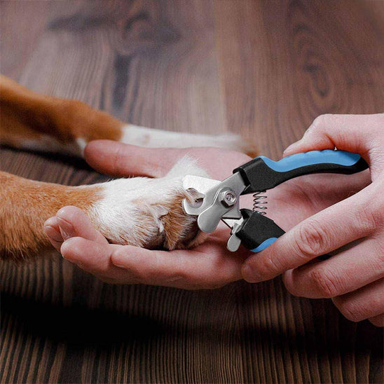 coupe-ongle-pour-chiens-securite-renforcee