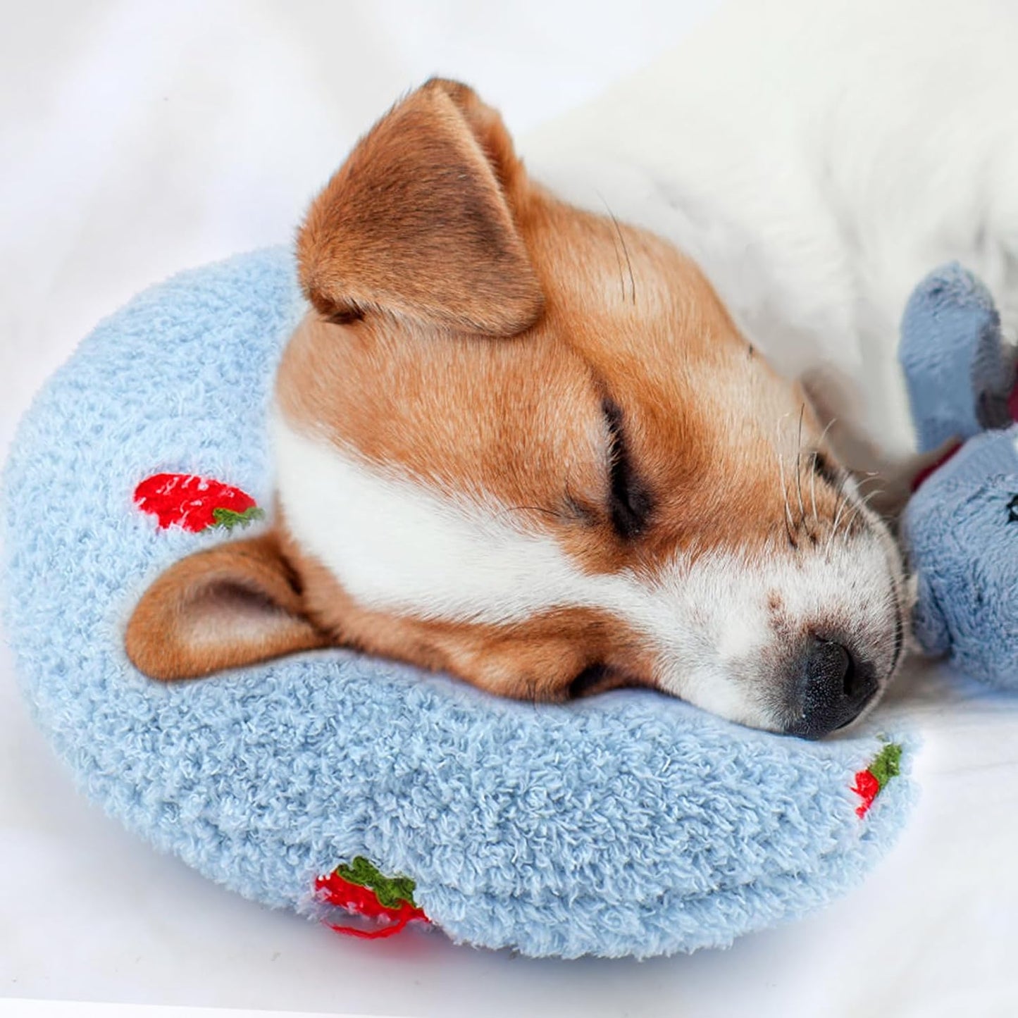 coussin pour chien apaisant | LittlePillow™