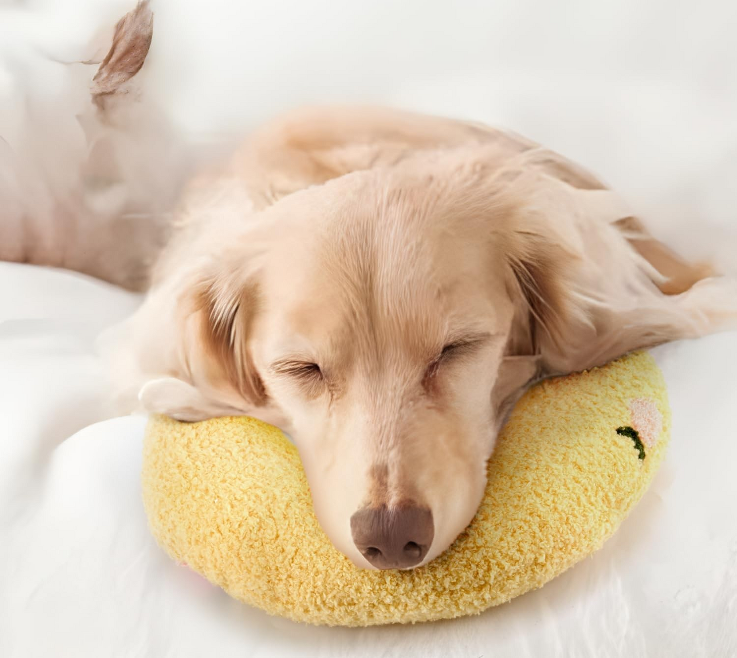 coussin pour chien apaisant | LittlePillow™