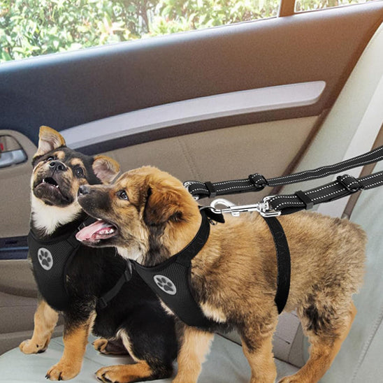 double laisse pour chien | DuoPaw ™