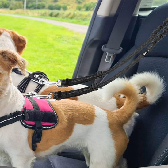 double laisse pour chien | DuoPaw ™