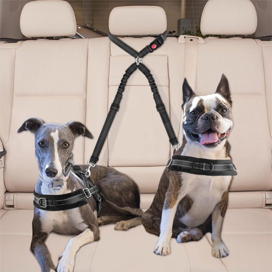 double laisse pour chien | DuoPaw ™