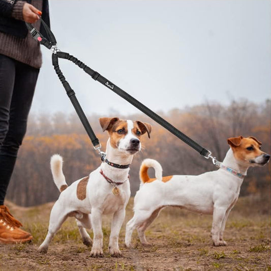 double laisse pour chien | DuoPaw ™