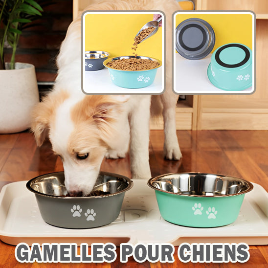 gamelle en inox pour chien | InoxBowls™