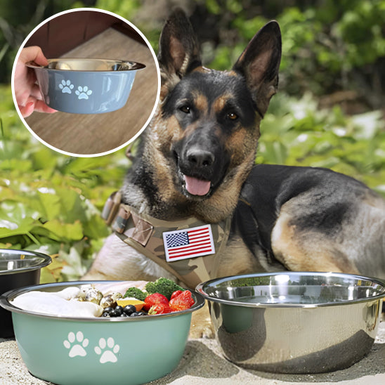 gamelle en inox pour chien | InoxBowls™