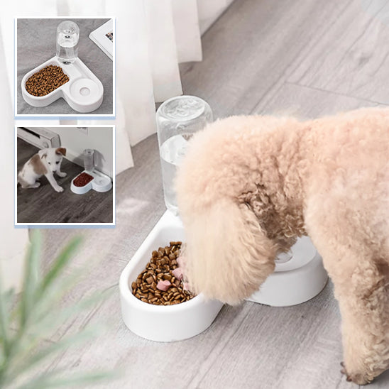 gamelle pour chien | Feed&Drink™