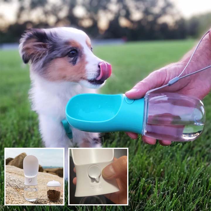 gourde pour chien | OutBottle™