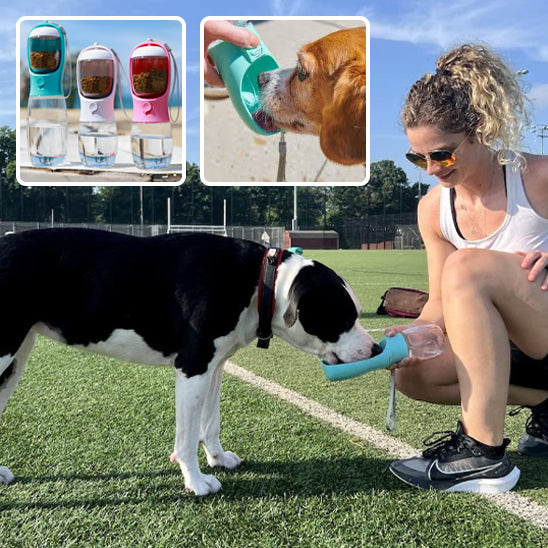 gourde pour chien | OutBottle™