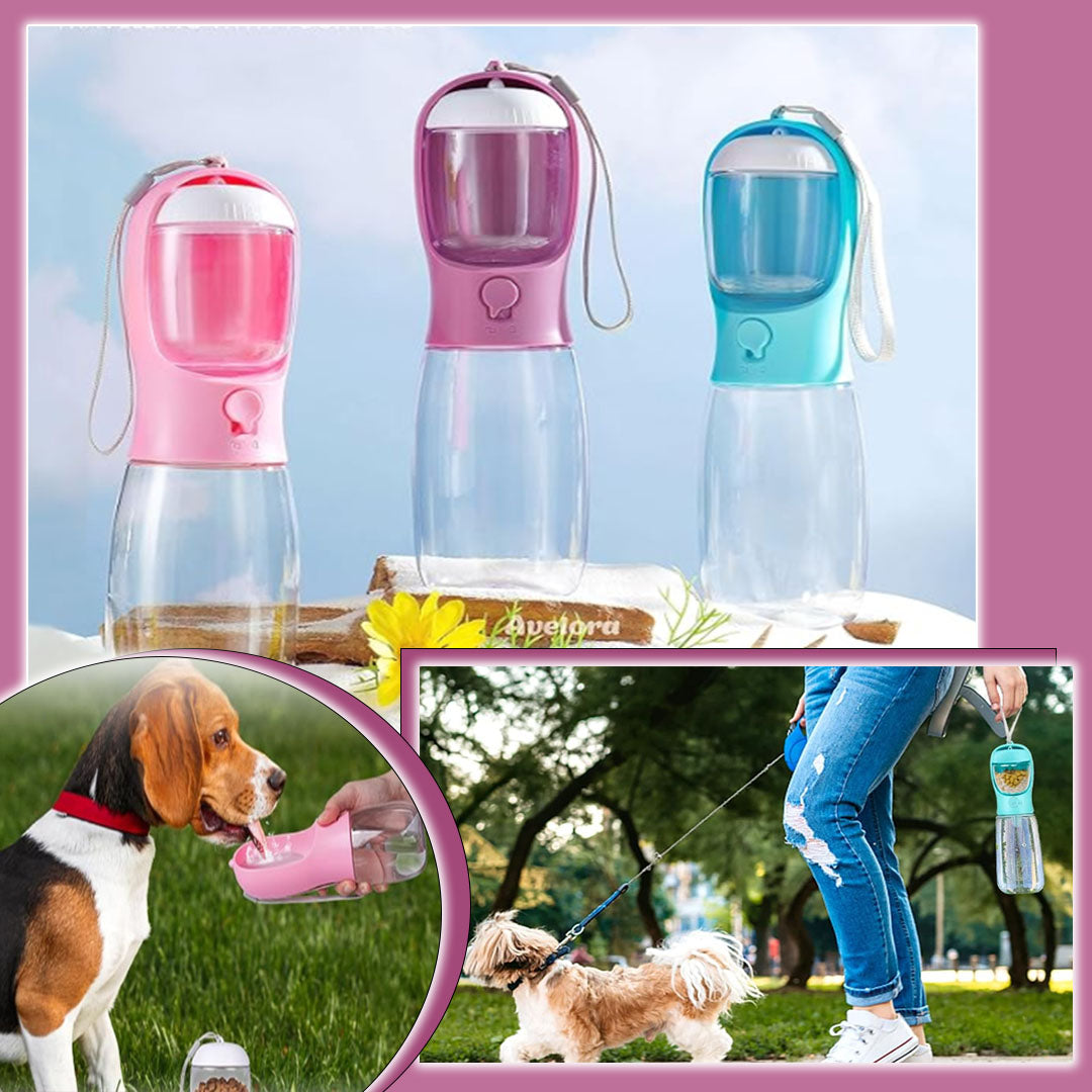 gourde pour chien | OutBottle™