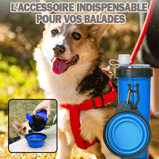 gourde pour chien