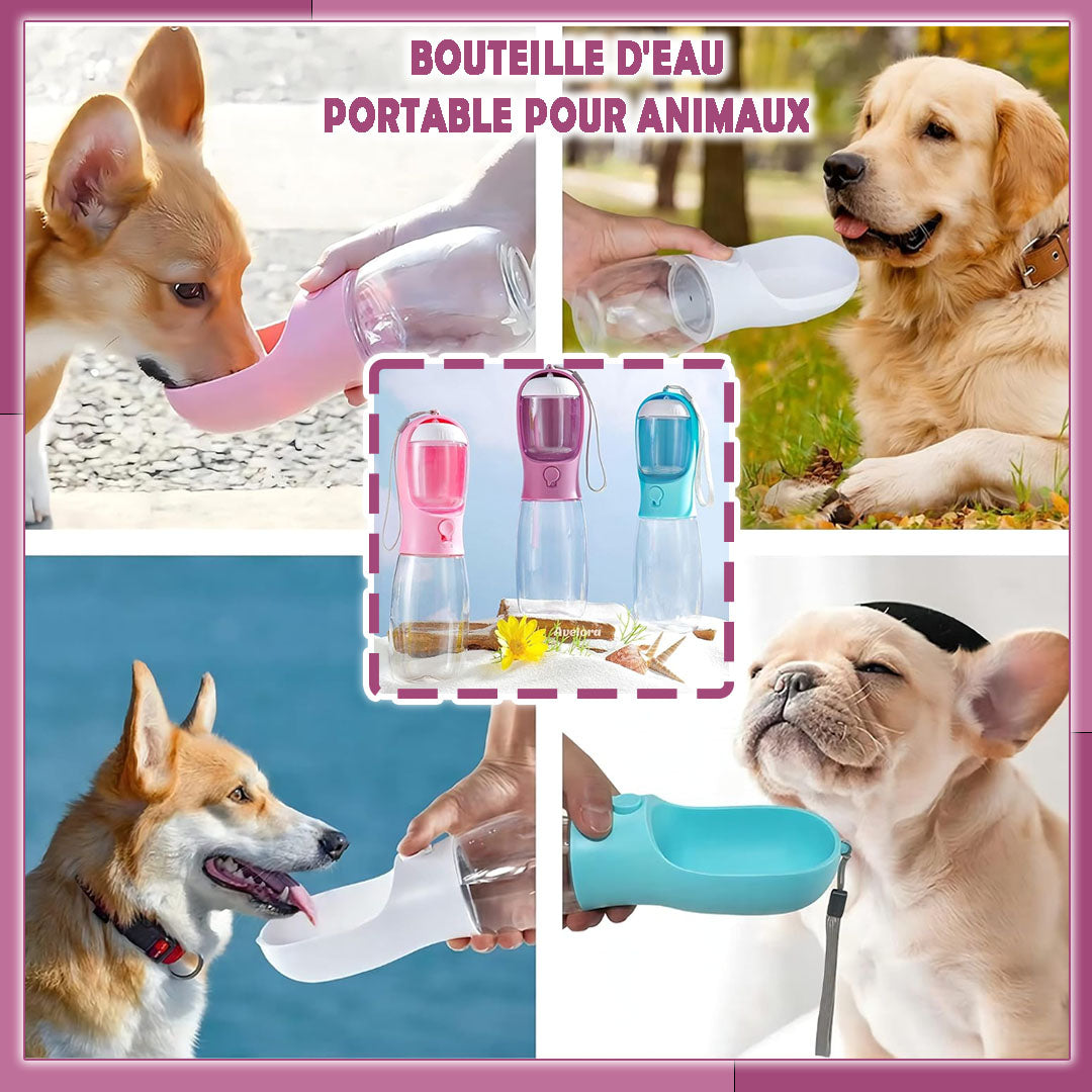 gourde pour chien | OutBottle™