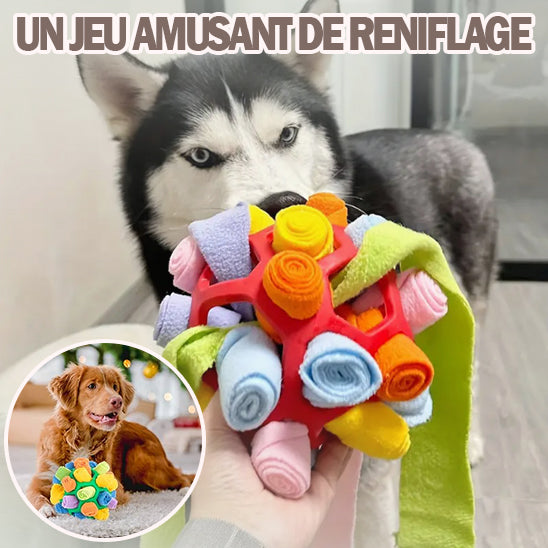 jouet-pour-chien-friandises