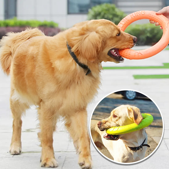 jouet pour chien interactif | DoggyDisc™