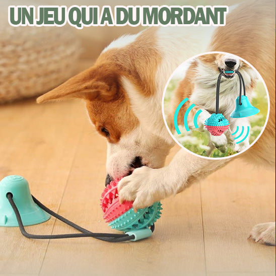 jouet pour chien | FunBall™