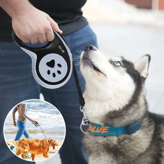 Laisse rétractable pour chien | FlexiPaw™