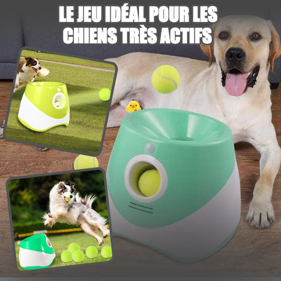 lanceur de balle pour chien | DoggyBall™