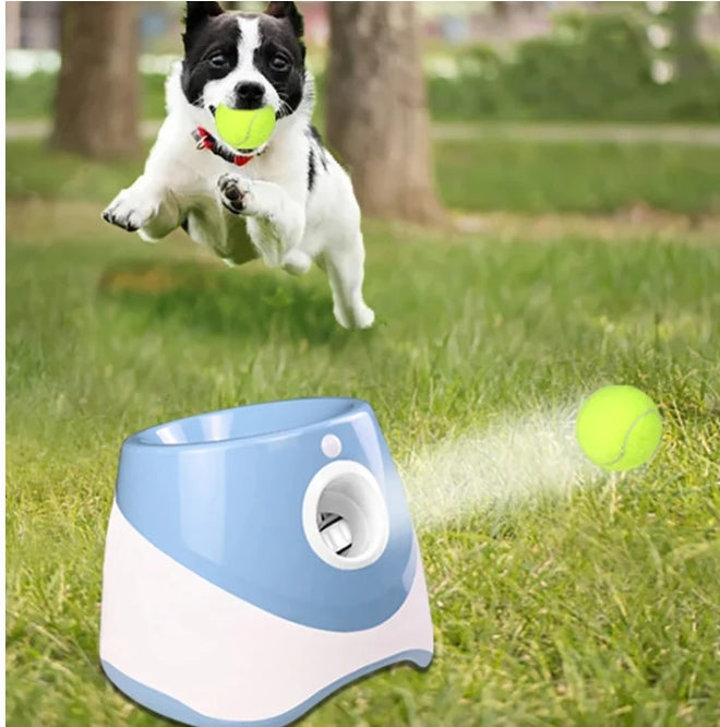 lanceur de balle pour chien automatique | BallBuddy™