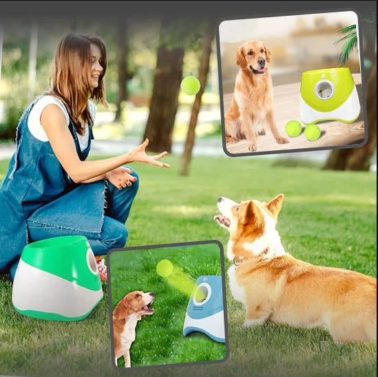 lanceur de balle pour chien automatique | BallBuddy™