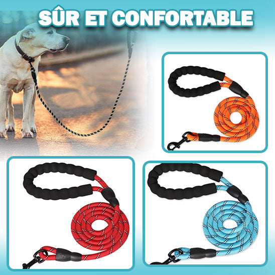 longe pour chien | DoggyLeash™