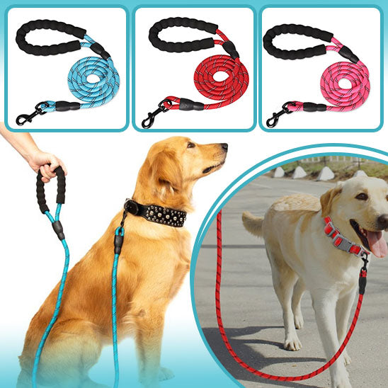 longe pour chien | DoggyLeash™