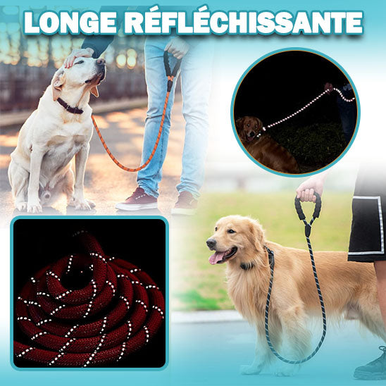 longe pour chien | DoggyLeash™