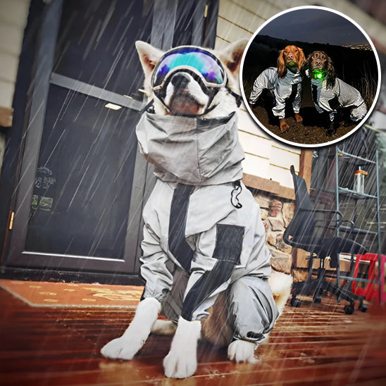 manteau de pluie pour chien | RainCoat™