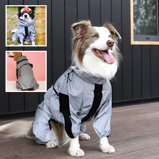 manteau de pluie pour chien | RainCoat™