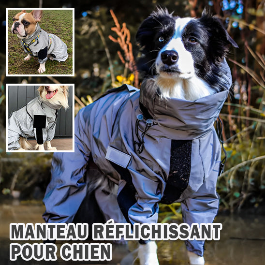 manteau de pluie pour chien | RainCoat™