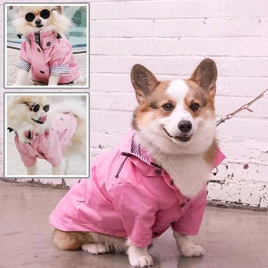 manteau imperméable pour chien | DoggyJackets™