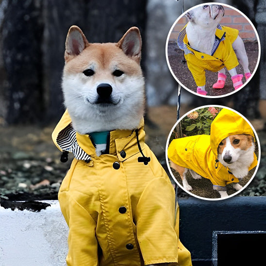 manteau imperméable pour chien | DoggyJackets™