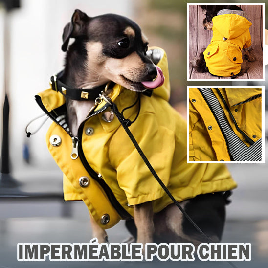 manteau imperméable pour chien | DoggyJackets™