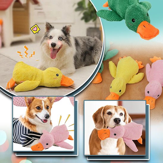 peluche pour chien | GipsyDuck's™ - Happy Life Happy Dog