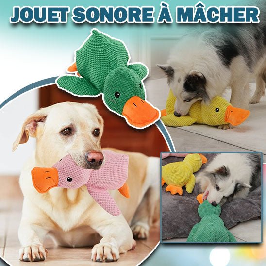 peluche pour chien | GipsyDuck's™ - Happy Life Happy Dog