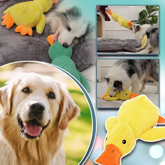 peluche pour chien | GipsyDuck's™ - Happy Life Happy Dog