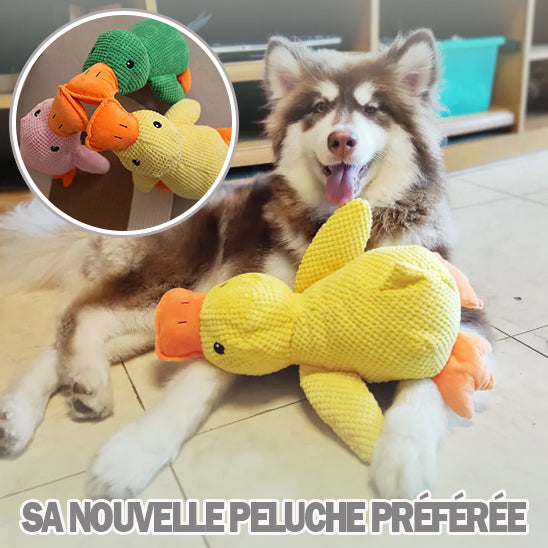 peluche pour chien | GipsyDuck's™