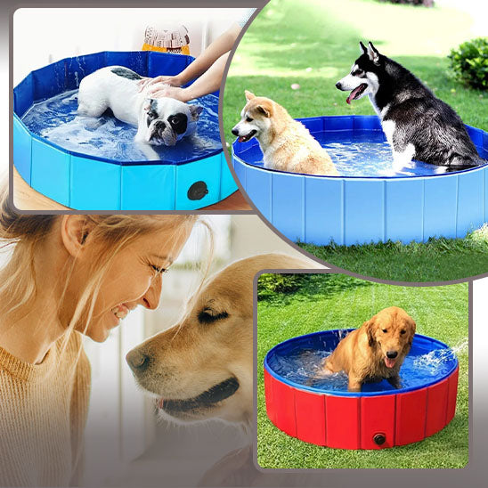 piscine pour chien | PetPool™