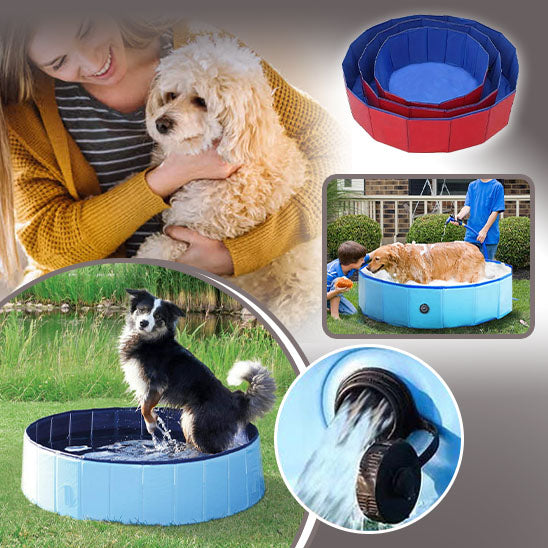 piscine pour chien | PetPool™