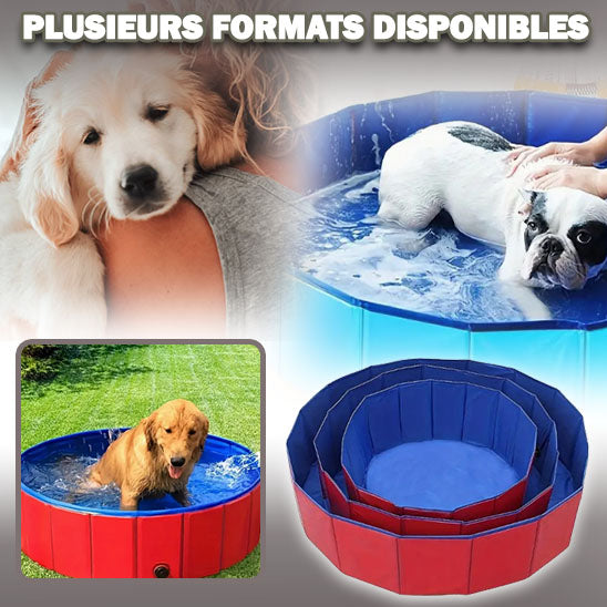 piscine pour chien | PetPool™