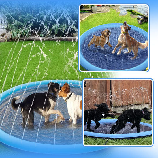 piscine pour chien | DoggySplash™