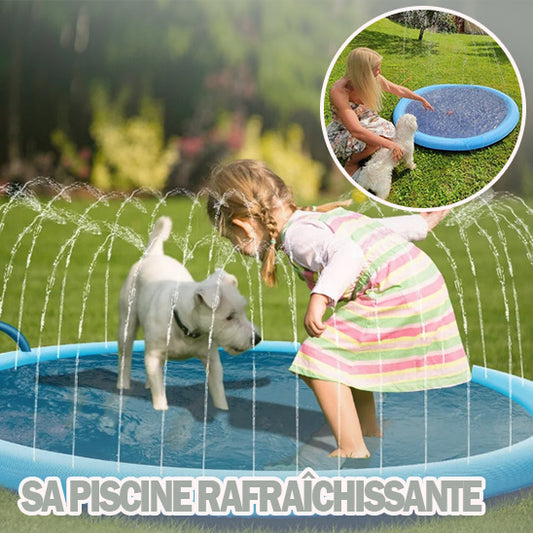 piscine pour chien | DoggySplash™