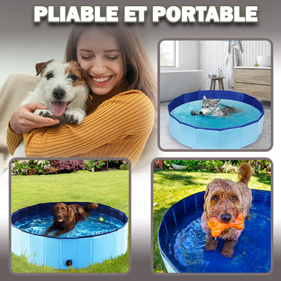 piscine pour chien | PetPool™